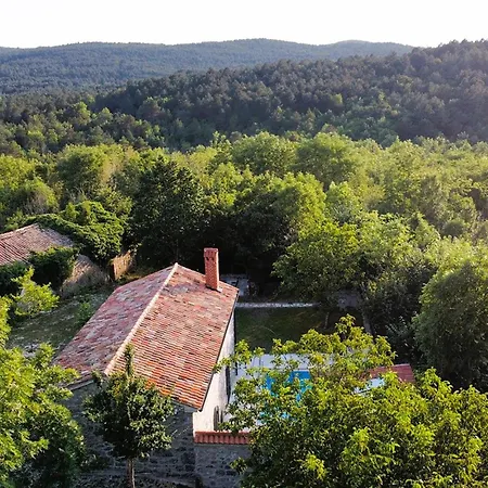 Amazing In Lanisce